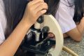 Một số hình ảnh tiết dạy thực hành môn hóa